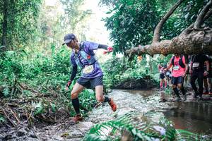 BIB: 
                            <button type="button" onclick="openModal(25453321)" class="btn btn-primary btn-sm float-right btn-popup" data-toggle="modal" data-target=".modal-high-quality">
                        <i class="fas fa-shopping-cart"></i> Add to Cart
                    </button>
                                            <button type="button" onclick="isThisMe(25453321, true)" class="btn btn-success btn-sm float-right btn-popup btn-isme hidden" data-toggle="tooltip" data-placement="bottom" title="นี่คือรูปของคุณใช่ไหม คลิกที่นี่เพื่อเอาเข้าอัลบั้ม">
                        <i class="fas fa-plus"></i> Add to album
                    </button>
                    <button type="button" onclick="isThisMe(25453321, false)" class="btn btn-warning btn-sm float-right btn-popup btn-isnotme hidden">
                        <i class="fas fa-ban"></i> Remove from album
                    </button>